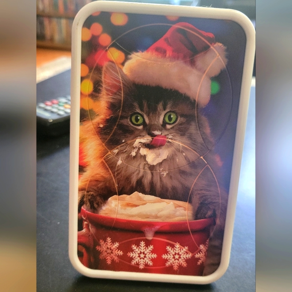 Adorable winter cat puzzle